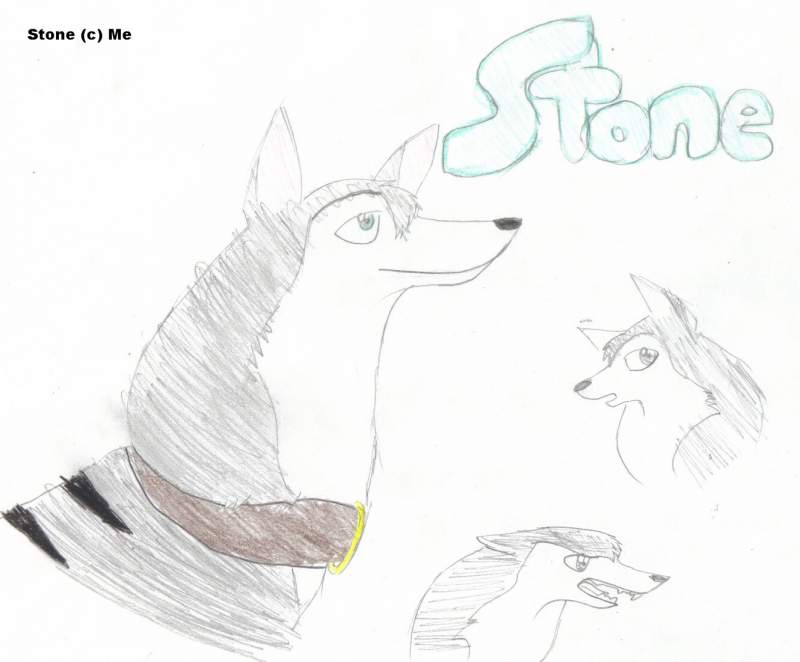 Stone