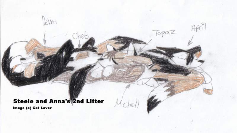 The 2nd Litter