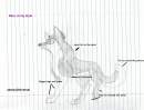Aleu in my style