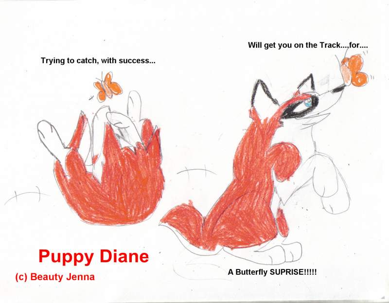Diane tries.......and wins!