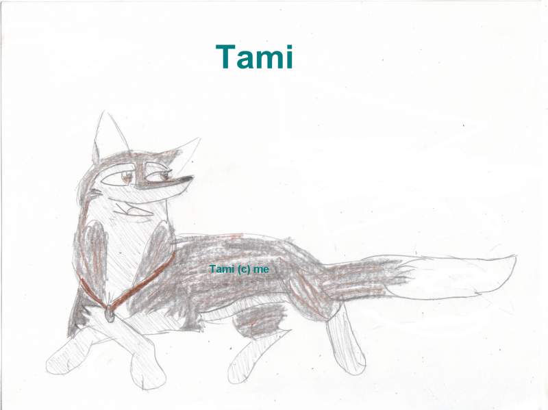 Tami