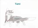 Tami