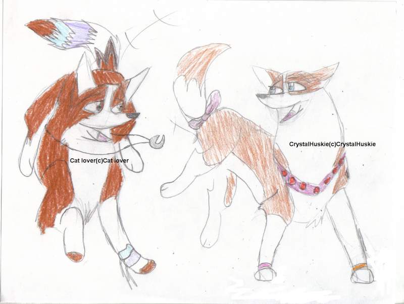 CrystalHuskie & Me