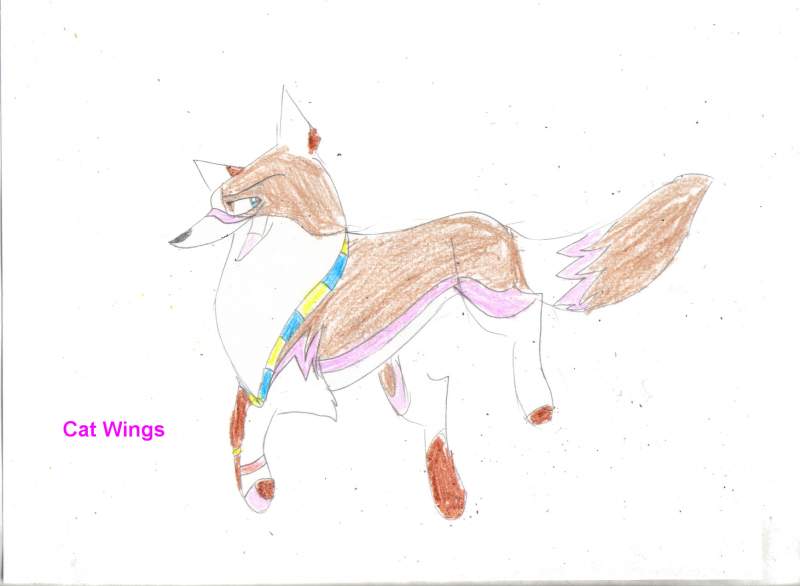 Cat wings for Cat wings