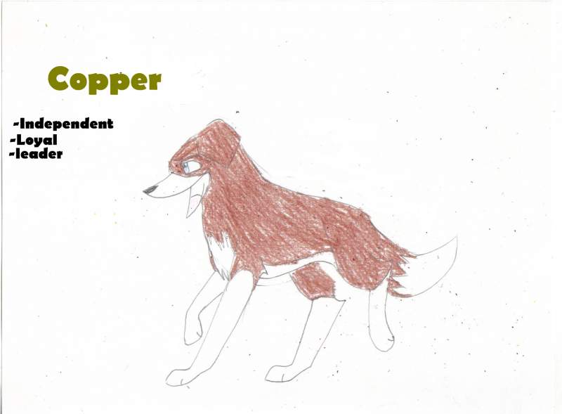 Copper:leader of 