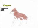 Copper:leader of  Untitled pack 