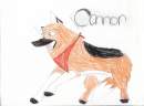 Connor