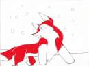 Kaya in the snow.