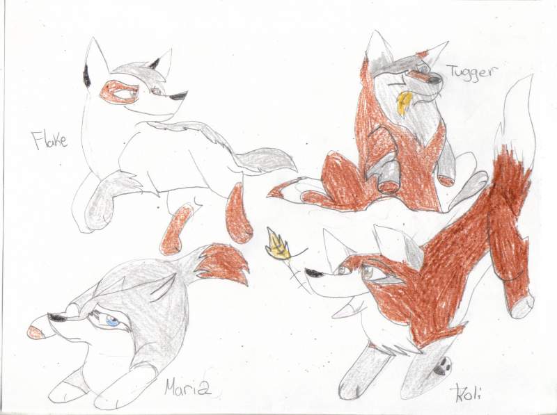 For Wolf whisper's contest