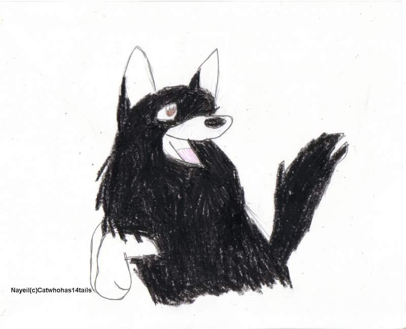 Nayeli for Cat