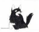 Nayeli for Cat