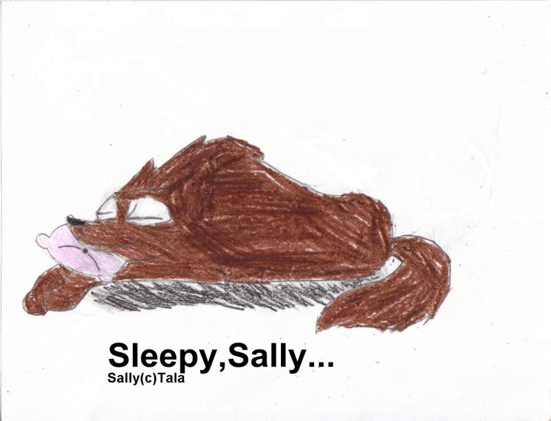 Sally sleeping