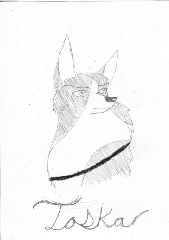 Doodle up Toska