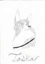 Doodle up Toska