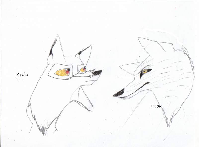 request for Kiba