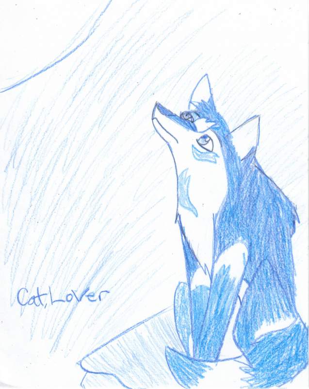 Blue Hawkin