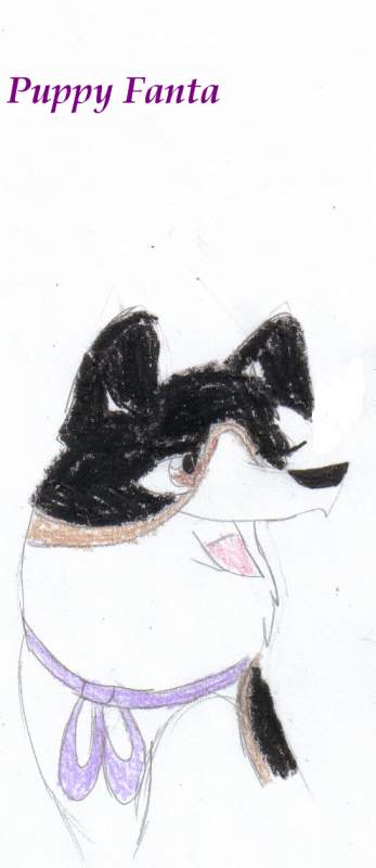 Fanta as a pup