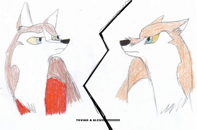 Diffrence