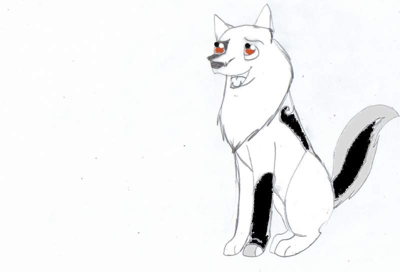 Rayak