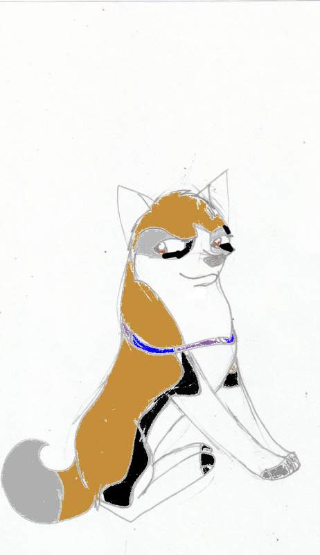 Darcy