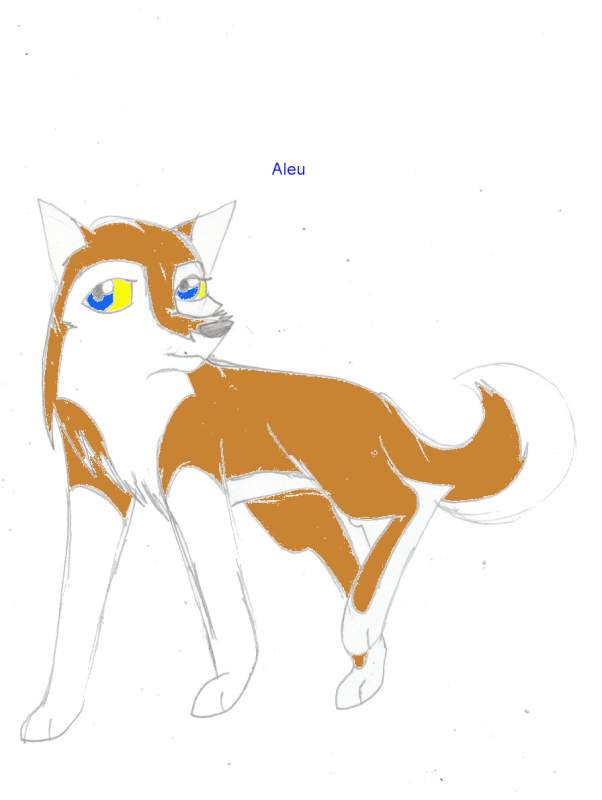 aleu 