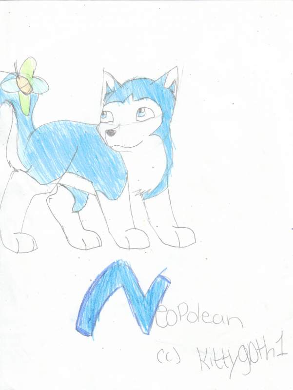 Nepolean for kittygoth1