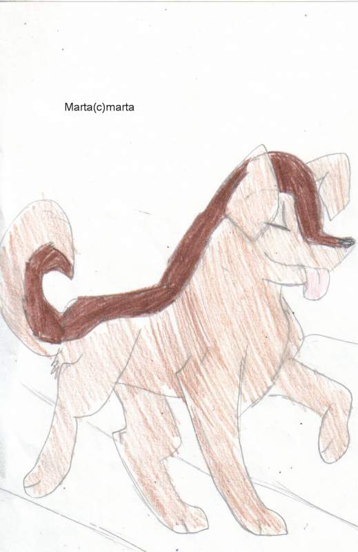 Marta