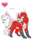 Brook + Kochak 