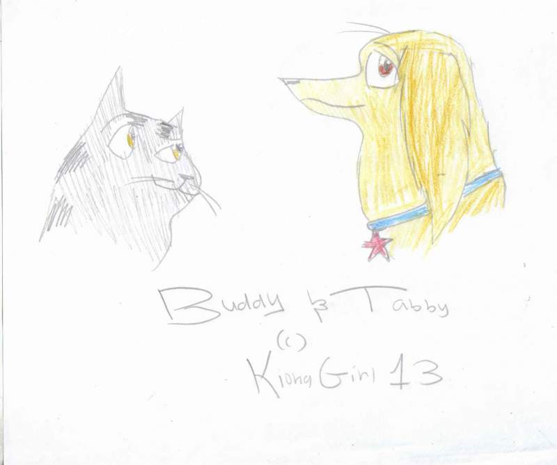 Tabby & Buddy