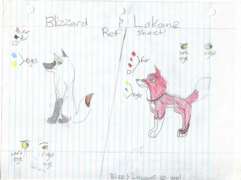 Blizzard & Lakoma
