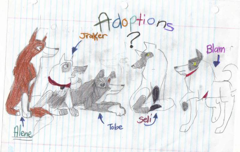 Adopt!