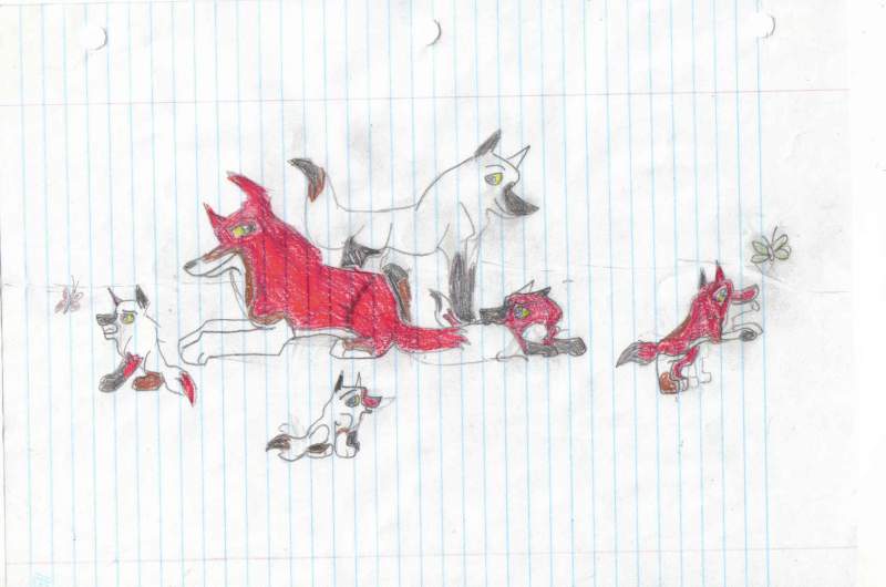     A love of the Pups