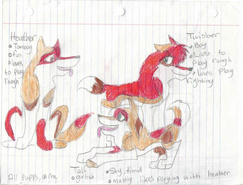 Saba & Tristan's Pups!