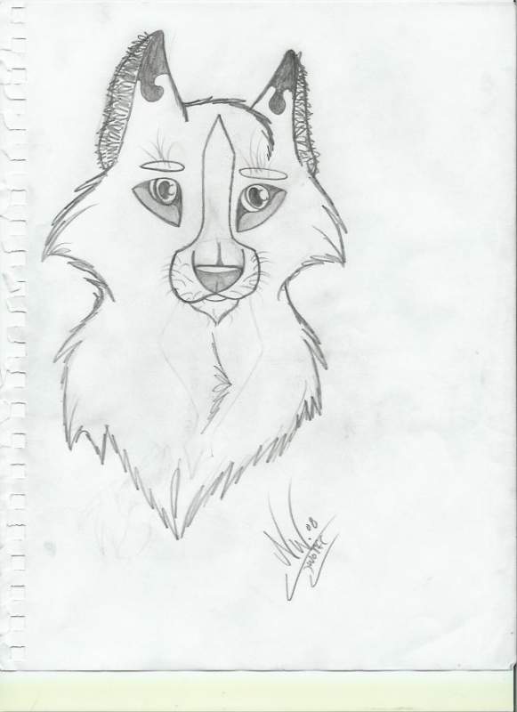 Another Wolf