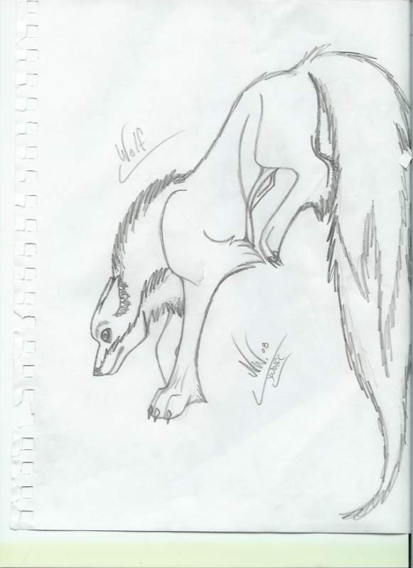 wolf