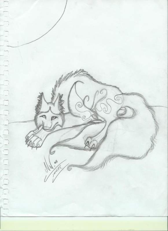 wolf