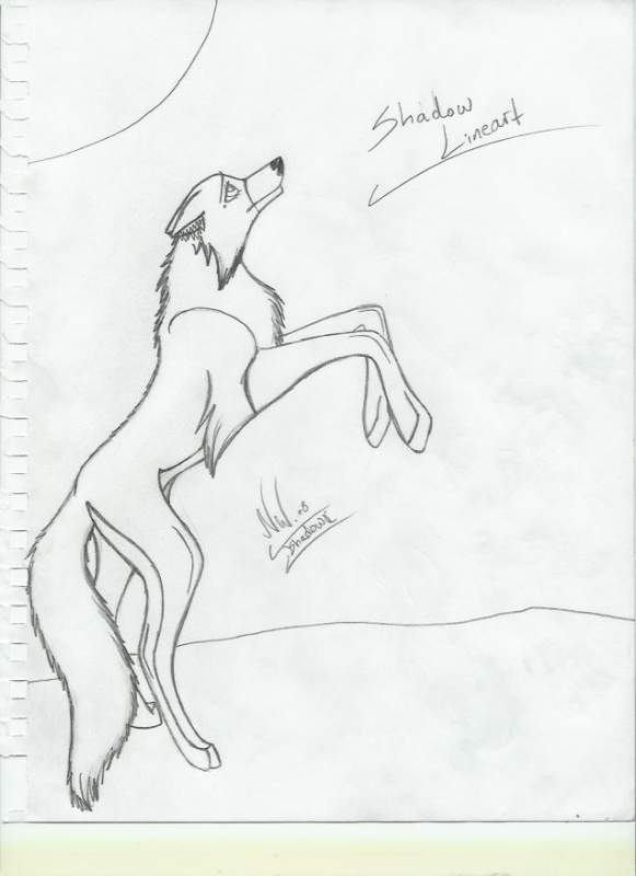 Shadow Line art