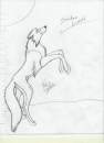 Shadow Line art