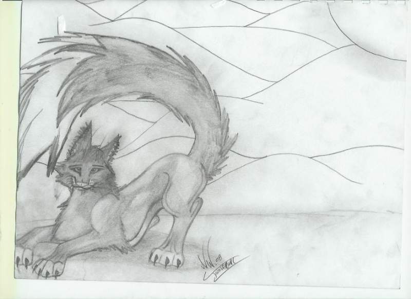 A Fox