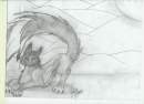 A Fox