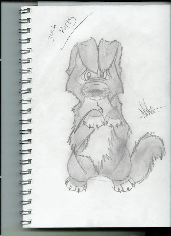 Puppy!!!!!!