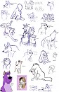 Doggie drawings