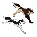 Storm and Koga