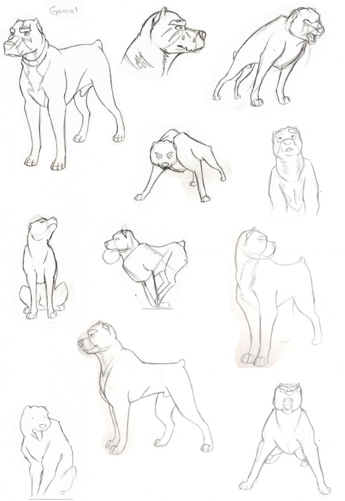 New Pitbull Character