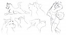 Howling practice