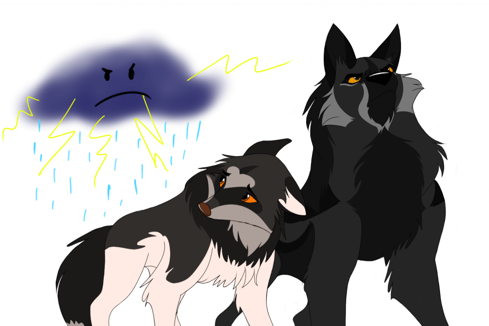 Scary Stormz