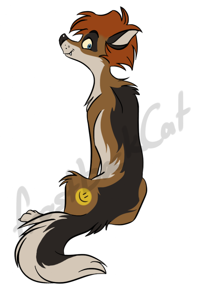 Coyote the Coyote