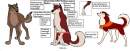 Dakota reference sheet