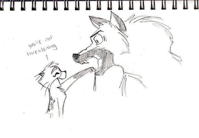 I saw something funny