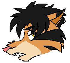 Cyrus is a wolf!